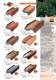 Catalogo Generale