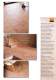 Catalogo Generale