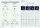 WebNet - INOX DESIGN