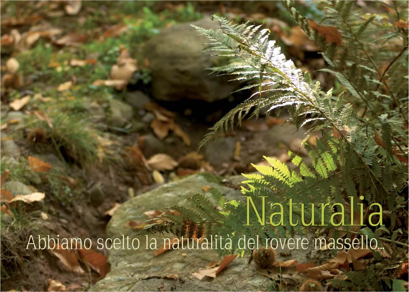 Naturalia - Quadrolegno