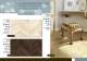 Dreamlife. Parquet a due strati. - Woodco