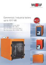 Commercial / industrial boilers