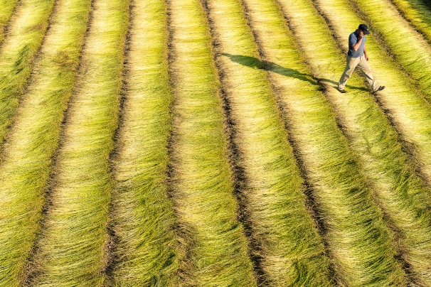 Culture iN Photo 2