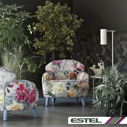 ESTEL Photo 3