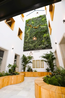 Terapia Urbana Photo 4