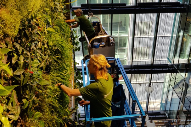 GREENWORKS SWEDEN Photo 3