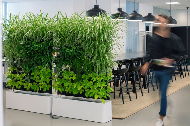 GREENWORKS SWEDEN Photo 11