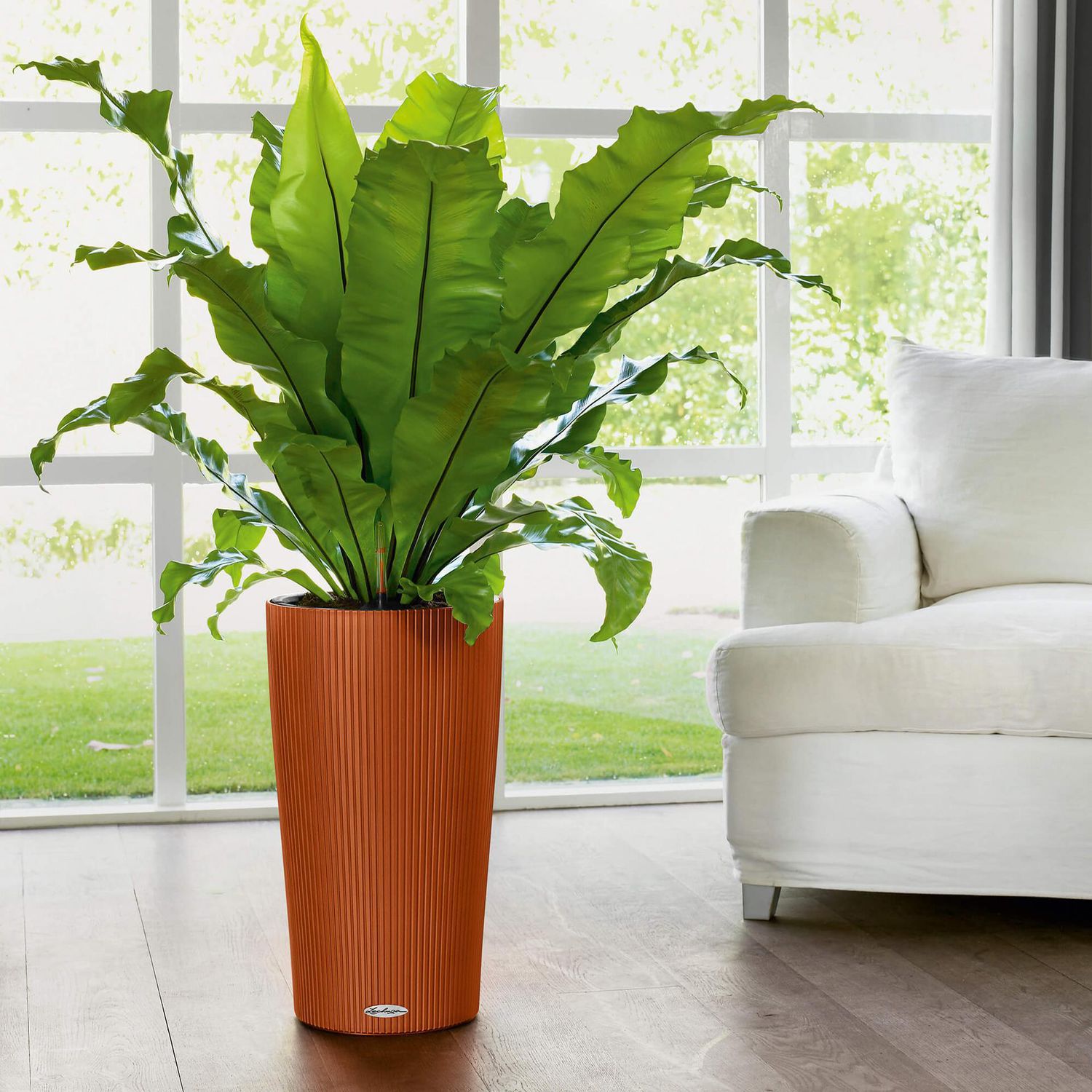 Vaso da giardino conico in plastica color antrace, 58 x 30 cm, con