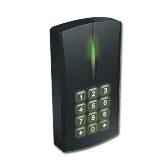 Lettore di controllo accessi per porta in metallo RFID retroilluminato 1000 utenti Tastiera per scheda EM 125KHz Serratura per porta con codice impermeabile IP67  30