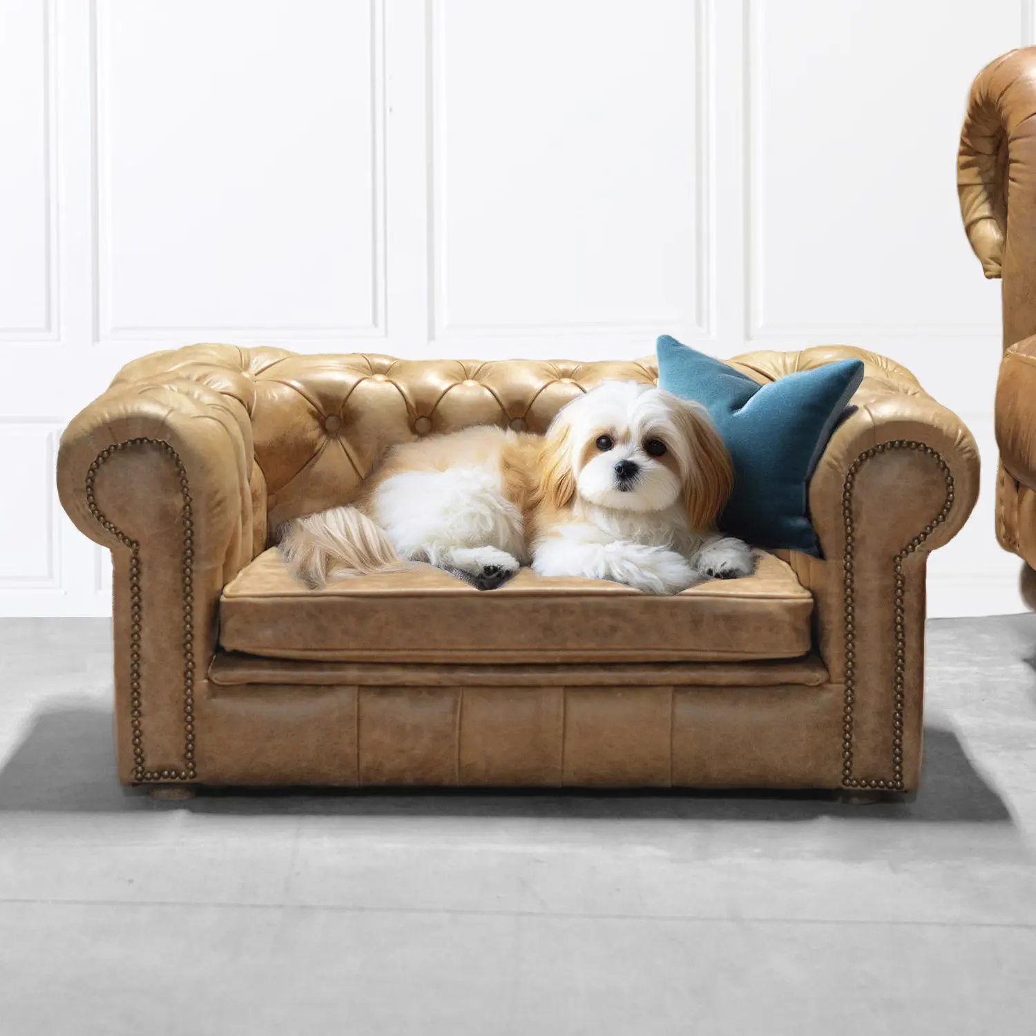 Cuccia Divano Per Cani Divano Per Cani In Similpelle Con Cuscini