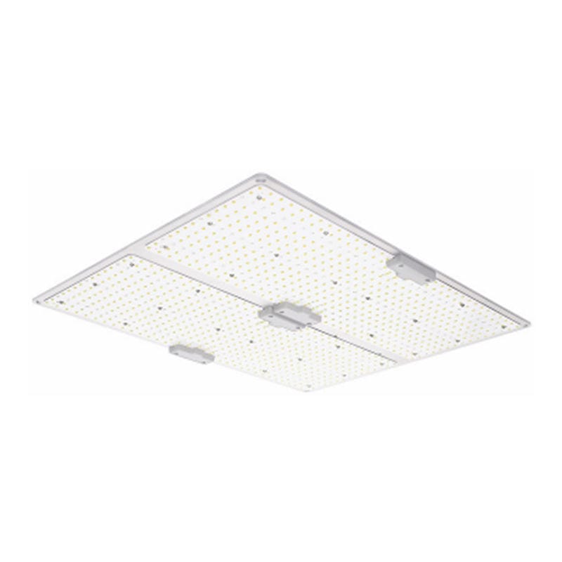 Proiettore IP65 LGLBO kindom optoelectronic co.,ltd LED