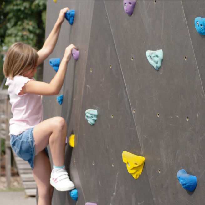 100 prese per arrampicata Pareti per arrampicata Pietre per arrampicata Bambini Outdoor fino a 200 kg | Leroy Merlin