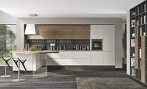 Cucina moderna / in legno / laccata / opaca