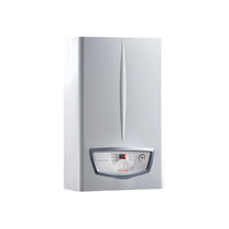 Caldaia elettrica / a gas / unicamente per...