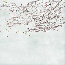 Carta da parati moderna / in vinile / con...