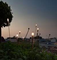 Lampione da giardino / moderno / in metallo...