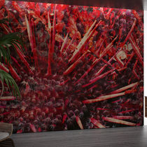 Rivestimento murale per interni / in vinile...