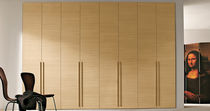 Armadio moderno / in legno / con ante battenti
