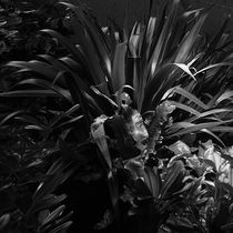 Luce da incasso a pavimento / LED / rotonda...