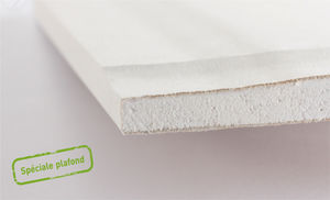 controsoffitto in gesso