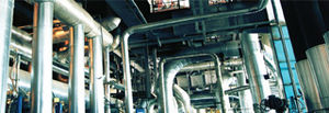 software di calcolo dinamico dei fluidi 1