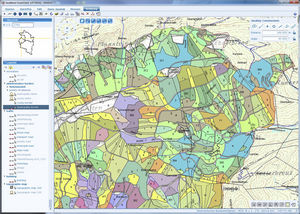 software per Sistema Informativo Geografico (SIG) 1
