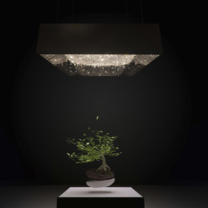 lampadario moderno / in cristallo / in quercia / in noce