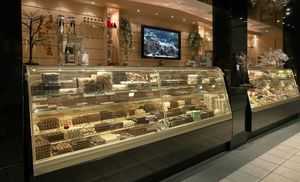vetrina refrigerata espositiva