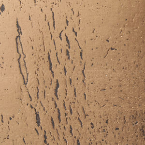 rivestimento murale per interni 1