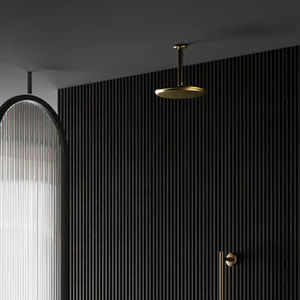 braccio per soffione doccia da soffitto 1