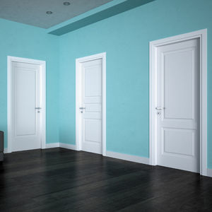 porta da interno 1