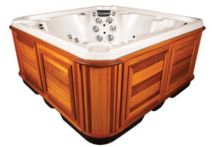 spa da incasso