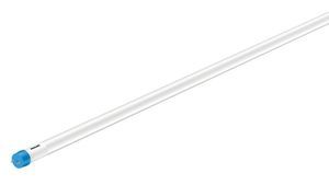 lampadina LED
