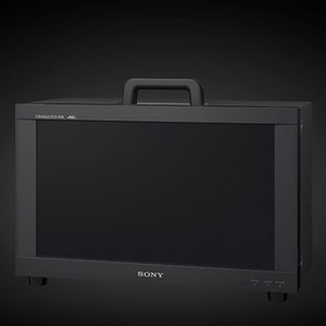 monitor fisso