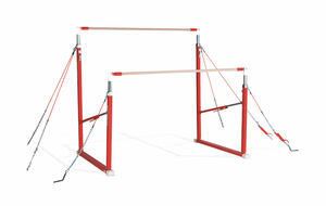 parallela asimmetrica da ginnastica 1