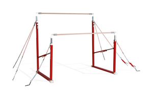parallela asimmetrica da ginnastica 1