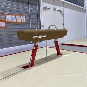 cavallo per ginnastica