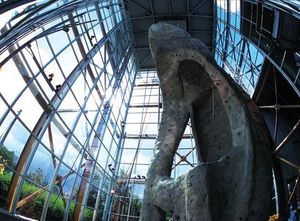roccia da arrampicata