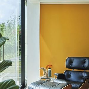 pittura decorativa 1