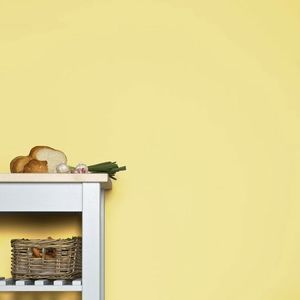 pittura decorativa 1