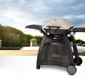 barbecue a gas
