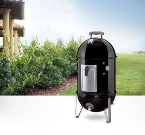 barbecue a carbonella