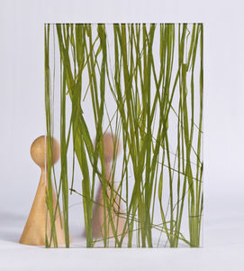 pannello decorativo acrilico / per interni / liscio / con inserto di piante naturali