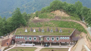 tetto verde