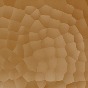pannello decorativo per soffitto 1