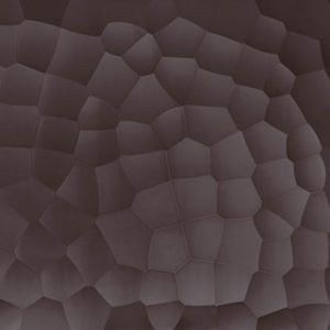 pannello decorativo per soffitto 1