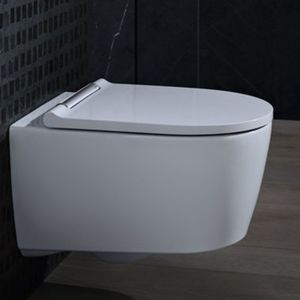 WC sospeso