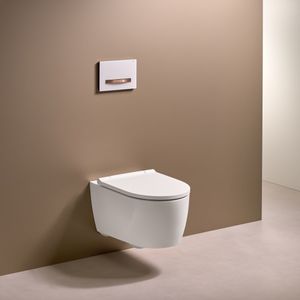 WC sospeso 1
