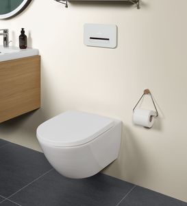WC sospeso 1