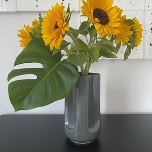 vaso contemporaneo